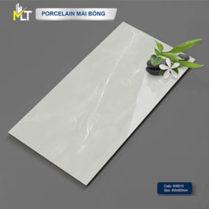 Gạch Ốp Tường 400x800mm W48015