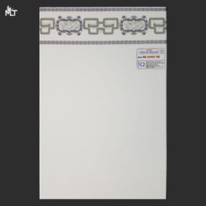 Gạch 25x40 NB25403