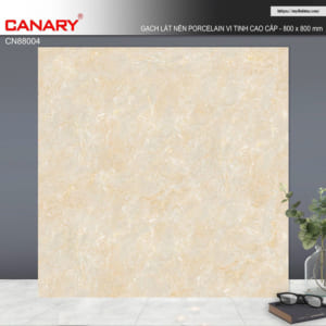 Gạch 80x80 TP CN88004