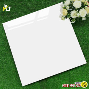 Gạch 60x60 V600