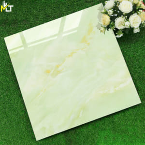 Gạch 60x60 TKFP 6141