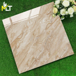 Gạch 60x60 TKFP 6142