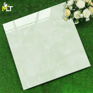 Gạch 60x60 TKFP 6176