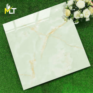 Gạch 60x60 TKFP 6193