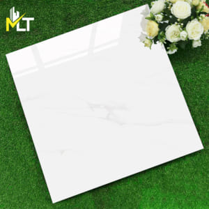 Gạch 60x60 TKSD 6025