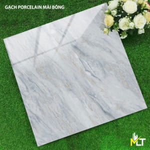 Gạch 60x60 6684TKTP