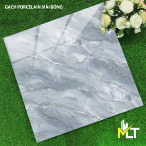 Gạch 60x60 TKTP 6685