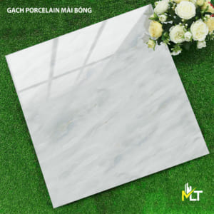Gạch 60x60 TKTP 6686