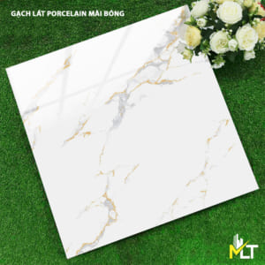 Gạch 60x60 TKTP 6688
