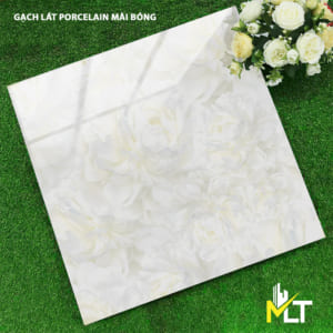 Gạch 60x60 TK6692N