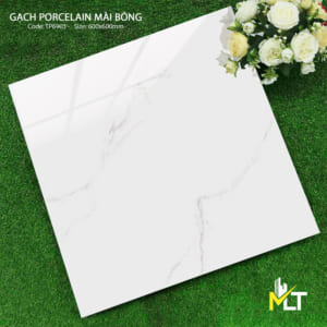 Gạch 60x60 TKTP 6903