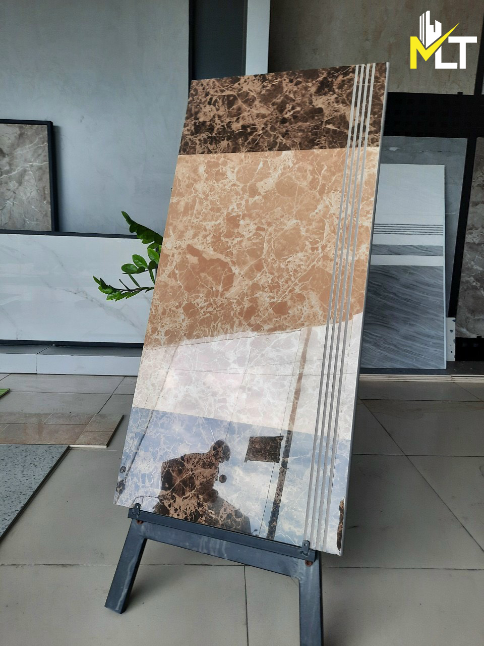 gạch cầu thang 48x100