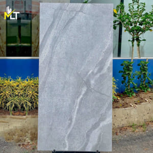 Gạch 60x120-6012005S2