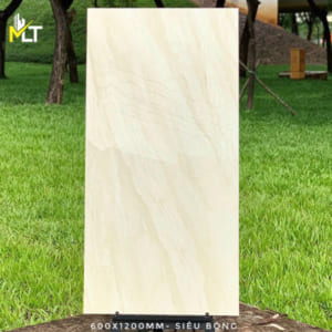 Gạch bóng kiếng 60x120 TK52101Gạch bóng kiếng 60x120 TK52101