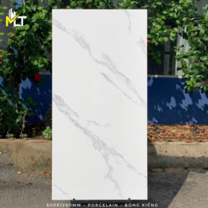 Gạch bóng kiếng 60x120 TK52105