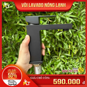 Vòi lavabo nóng lạnh đen huyền bí