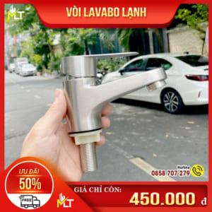 Vòi lavabo lạnh dạng bè