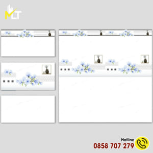 Gạch ốp tường 30x60 3673