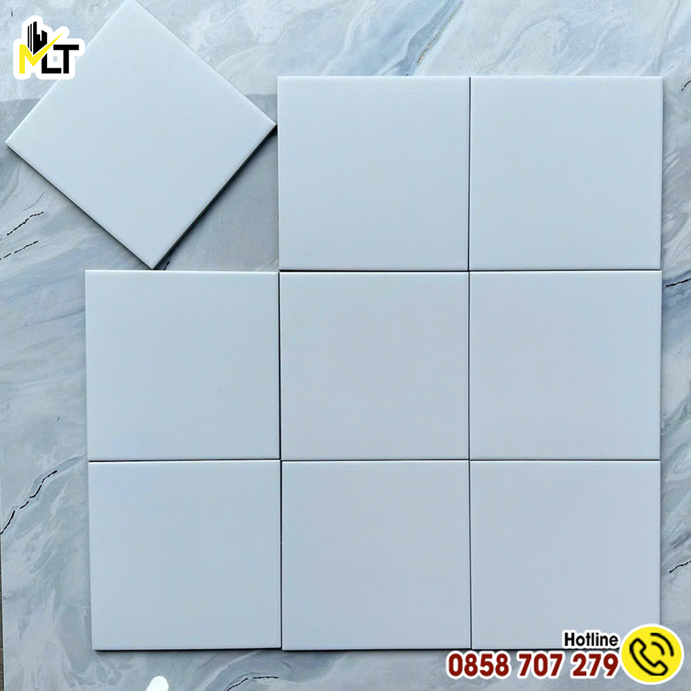 Top 50 mẫu gạch bông HOT nhất, ĐẸP nhất