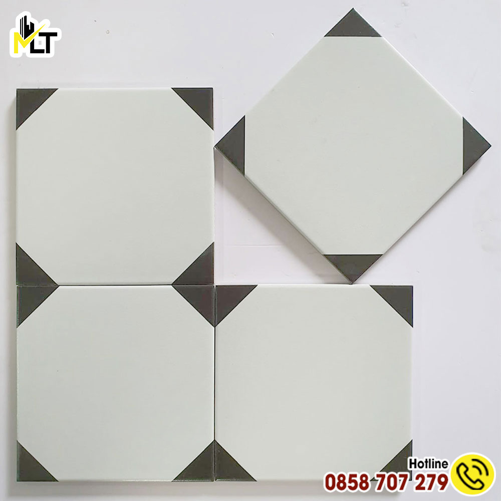 Mẫu gạch bông lát nền