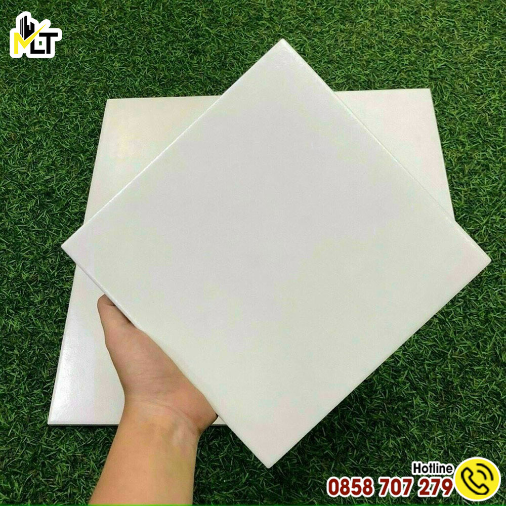 Mẫu gạch bông lát nền