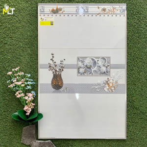 Gạch ốp tường 30x60 36021