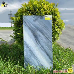 Gạch 40x80 MLT HN 4805