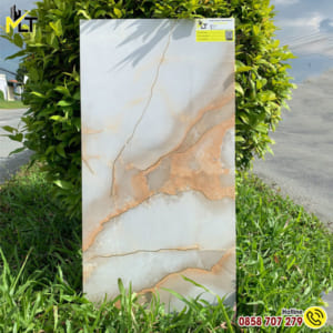 Gạch 40x80 MLT HN 4806