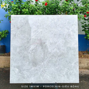 Gạch lát nền 1000x1000 mm 51104