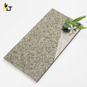 Gạch ốp tường 400×800 mm đá bóng kiếng MLTW48865