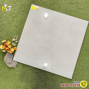 Gạch 80x80 8806