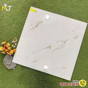 Gạch 80x80 8802