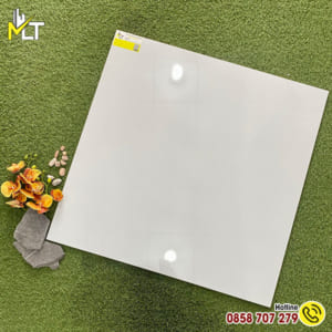 Gạch 80x80 8800