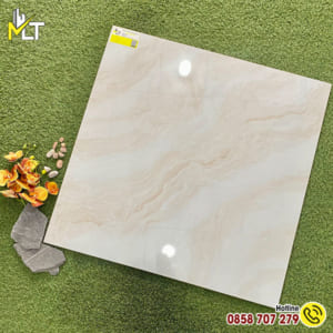 Gạch 80x80 8808