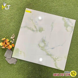 Gạch 80x80 8804