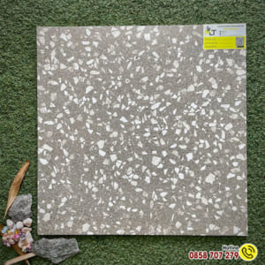 Gạch lát nền 50x50 Terrazzo 5T3