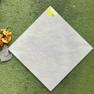 Gạch 60x60 HC 6603 (Đá bóng kiếng)