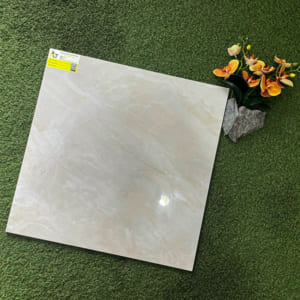 Gạch 60x60 HC 602 (Đá bóng kiếng)