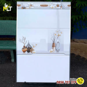 Gạch ốp tường 30x60 3600