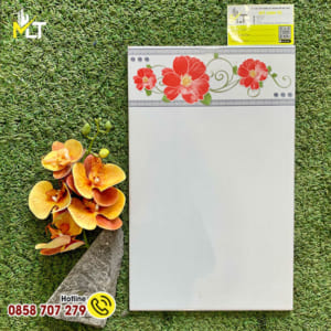 Gạch ốp tường giá rẻ 25x40 2501