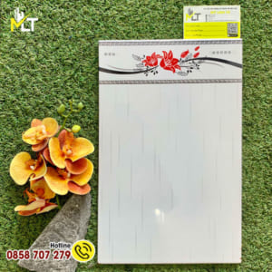 Gạch ốp tường giá rẻ 25x40 25028