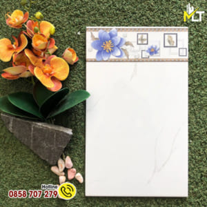 Gạch ốp tường giá rẻ 25x40 25033