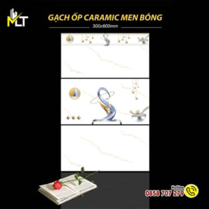 Gạch ốp tường 30×60 36060