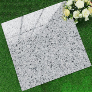 Gạch 60x60 TK6654N (Đá bóng kiếng)