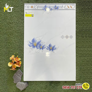 Gạch ốp tường 30×60 3658