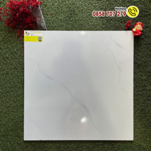 Gạch 60x60 MLT D6153