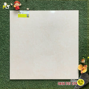 Gạch 60x60 MLT D6160