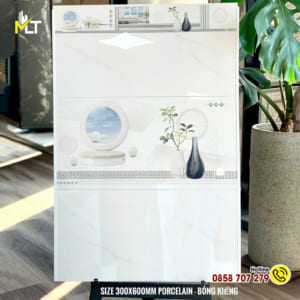 Gạch ốp tường 30x60 đá bóng kiếng 41S3