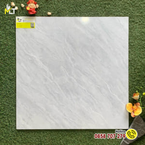 Gạch 60x60 MLT D6158