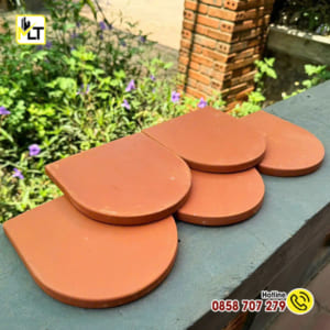 Ngói Vảy Cá (NHỎ)